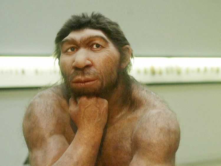 Neanderthal Modern health problems 39could have origins in Neanderthal