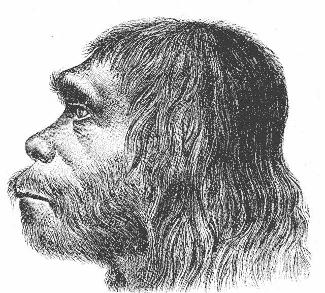 Neanderthals in popular culture