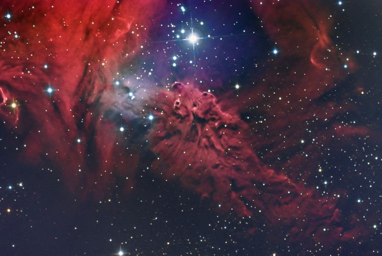 Nebula APOD 2015 December 30 The Fox Fur Nebula