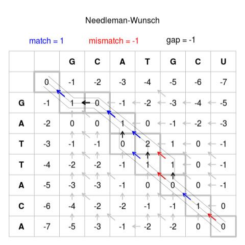 Needleman–Wunsch algorithm