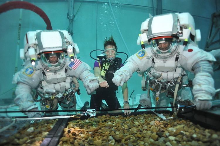 NEEMO NEEMO 16 In search of an asteroid Astronaut Class of 2009