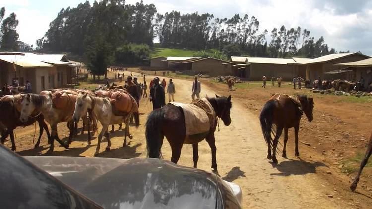 Negele Borana Road Trip to Negele Ethiopia IV YouTube