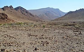 Negev Mountains httpsuploadwikimediaorgwikipediacommonsthu