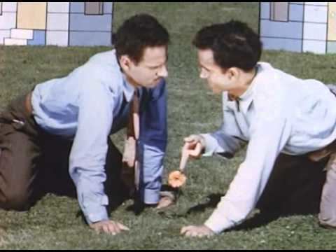 Neighbours (1952 film) Norman McLaren Neighbours YouTube