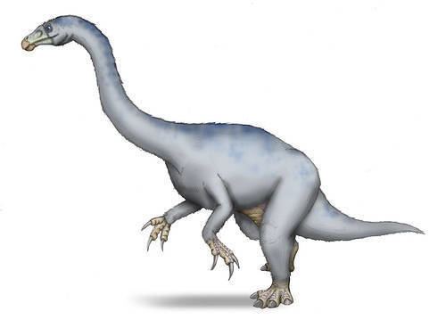 Neimongosaurus About Neimongosaurus Dinosaurs