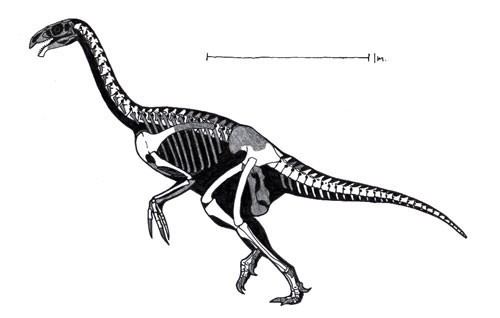 Neimongosaurus Neimongosaurus Pictures amp Facts The Dinosaur Database