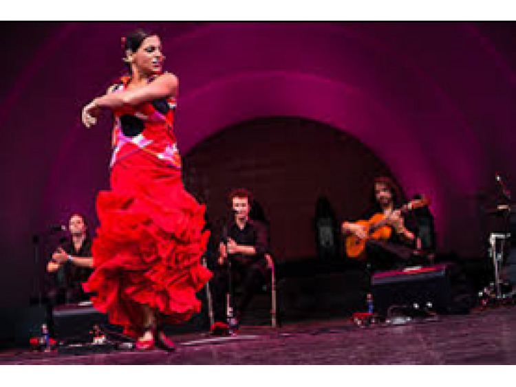 Nelida Tirado Flamenco with Nelida Tirado Tarrytown NY Patch
