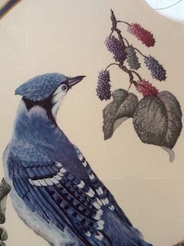 Nellie Meadows Beautiful Nellie Meadows Hand Numbered and Signed Print Blue Jay