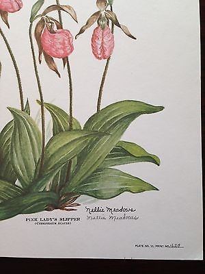 Nellie Meadows Nellie Meadows signed floral prints 805470305