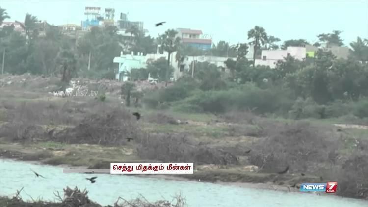 Nellikuppam Outrage over sugar factory in Nellikuppam polluting water bodies