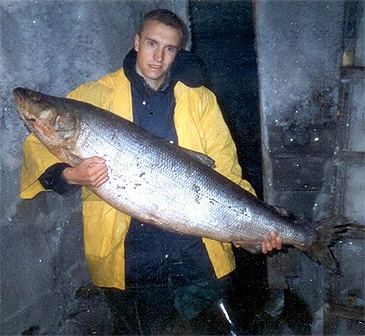 Nelma salmonlikes over 10 kg gtgt Stenodus nelma
