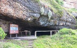 Nelson Bay Cave httpsuploadwikimediaorgwikipediacommonsthu