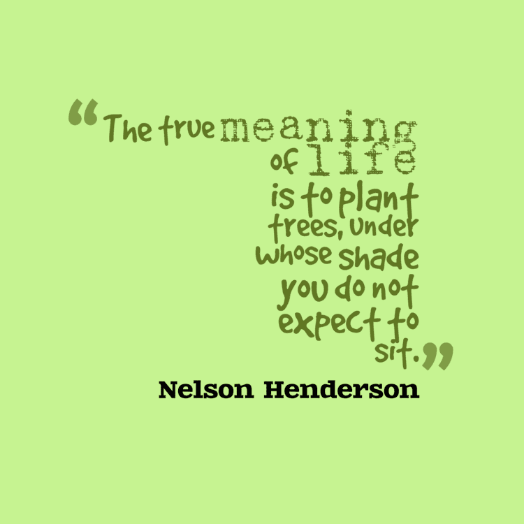Nelson Henderson 31 Best Nelson Henderson Quotes Images