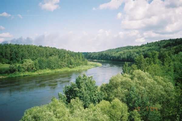 Neman (river) httpsuploadwikimediaorgwikipediacommons88