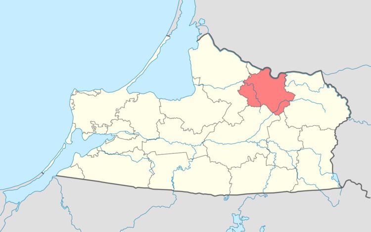 Nemansky District