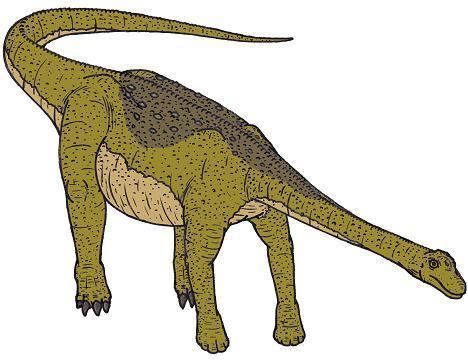 Nemegtosaurus wwwdinosaurjunglecomi1Nemegtosaurus0280sjpg