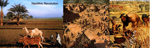 Neolithic Revolution Neolithic Revolution Cradle of Civilization