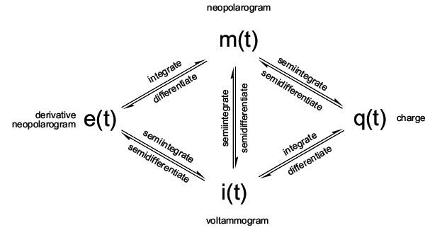 Neopolarogram
