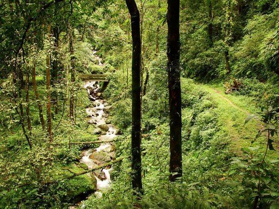 Neora Valley National Park Neora Valley National Park Darjeeling Top Tips Before You Go