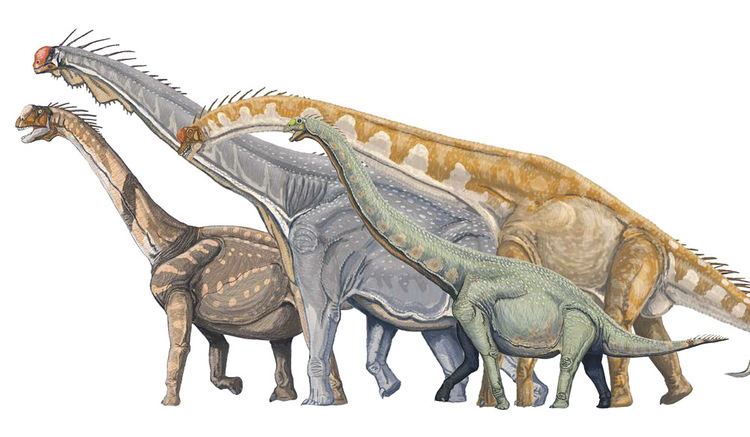 Neosauropoda