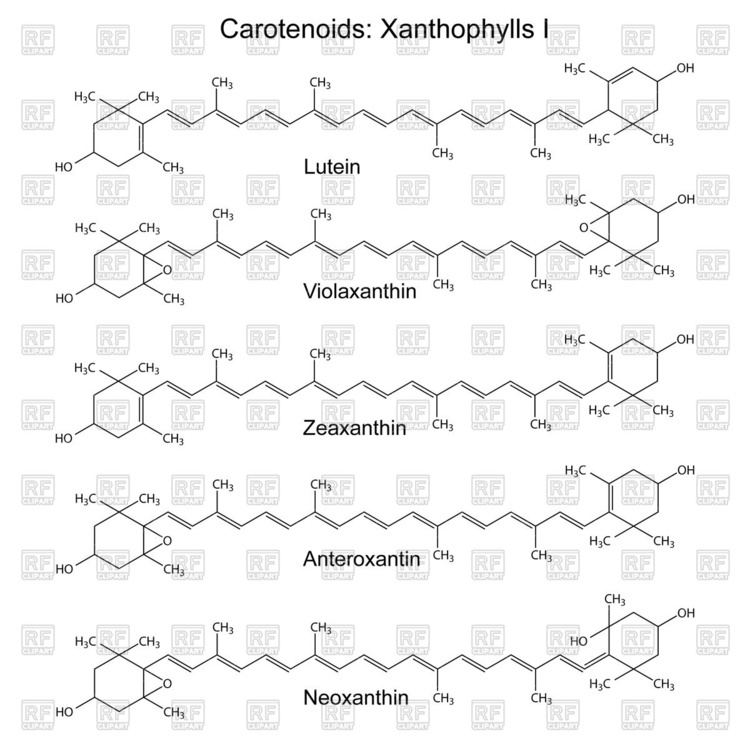 Neoxanthin Structural chemical formulas of plant pigments carotenoids