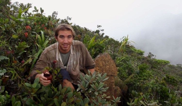 Nepenthes leonardoi The Discovery of Nepenthes leonardoi by Stewart McPherson YouTube