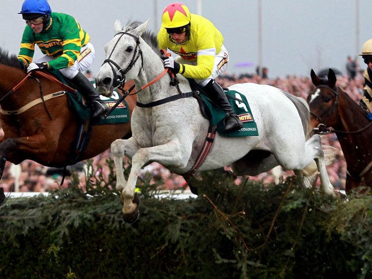 Neptune Collonges 1000 images about Grand National on Pinterest Grand national
