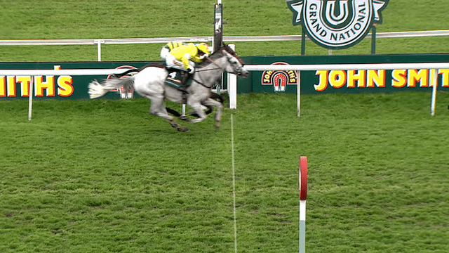 Neptune Collonges Neptune Collonges wins Aintree Grand National by a nose EQUINE Ink