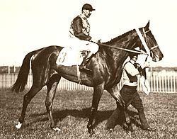 Nereide (horse) httpsuploadwikimediaorgwikipediacommonsthu