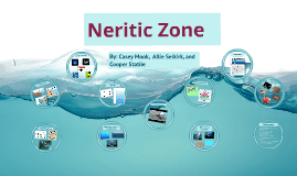 Neritic zone Neritic Zone by Allie Selkirk on Prezi