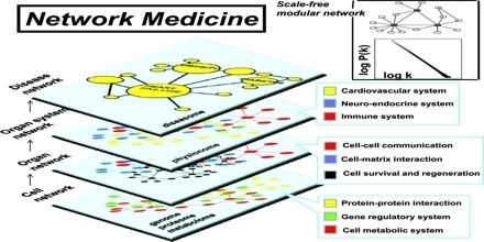 Network medicine Network Medicine Assignment Point