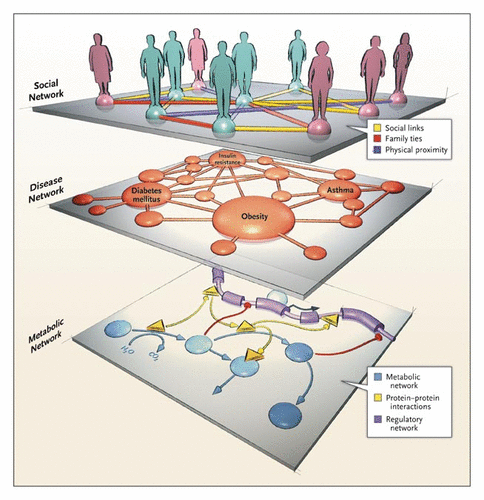 Network medicine Network Medicine From Obesity to the Diseasome NEJM