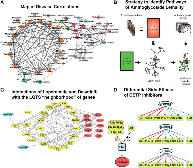 Network medicine The Emerging Paradigm of Network Medicine in the Study of Human