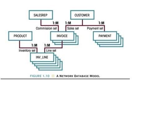Network model Network database model Computer Business Research
