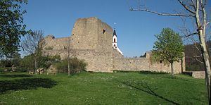 Neu-Baumburg Castle httpsd1k5w7mbrh6vq5cloudfrontnetimagescache