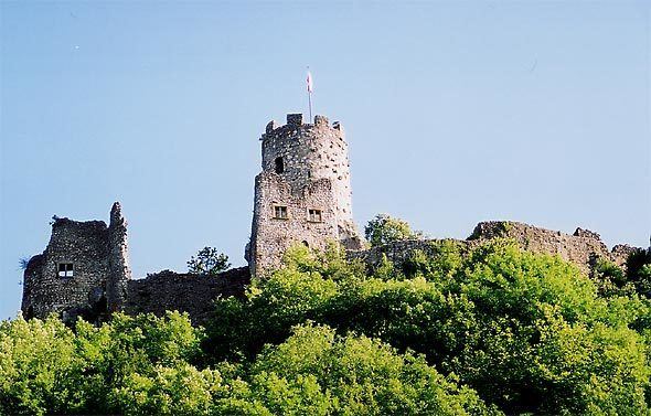Neu-Falkenstein Castle