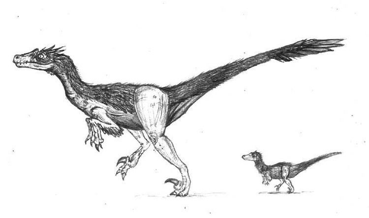 Neuquenraptor Neuquenraptor Pictures amp Facts The Dinosaur Database
