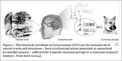 Neural correlates of consciousness authorslibrarycaltechedu414802haspreviewThum