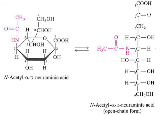 Neuraminic acid 1 Sialic Acid Also Called NacetylaDneuramini Cheggcom