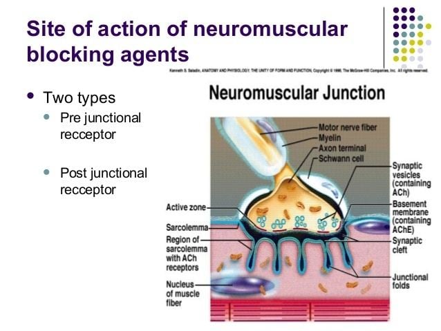 Neuromuscular-blocking drug Skeletal muscle relaxants Neuromuscular blocking agents Neuromuscul