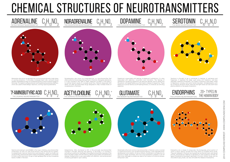 Neurotransmitter Compound Interest Chemical Structures of Neurotransmitters