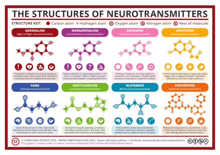 Neurotransmitter wwwcompoundchemcomwpcontentuploads201507Ch