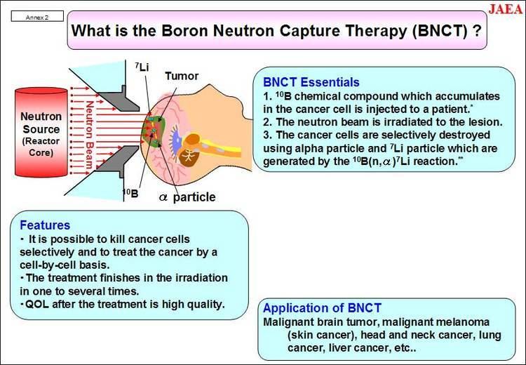 Neutron capture therapy of cancer News Release Japan Atomic Energy Agency