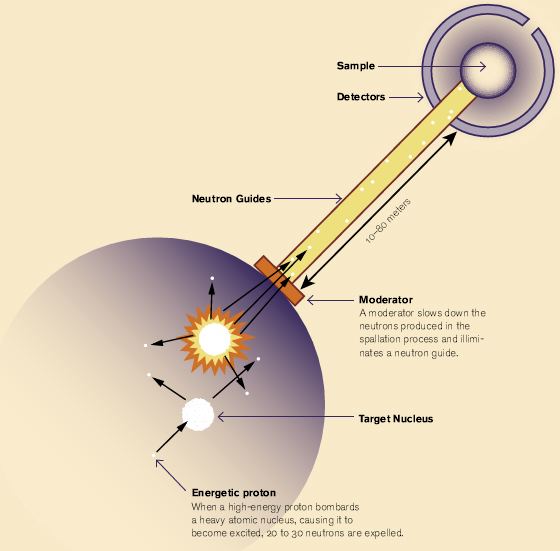 Neutron source SNS Neutrons for quotmolecular moviesquot symmetry magazine