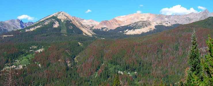 Never Summer Wilderness Never Summer Wilderness Colorado National Wilderness Areas