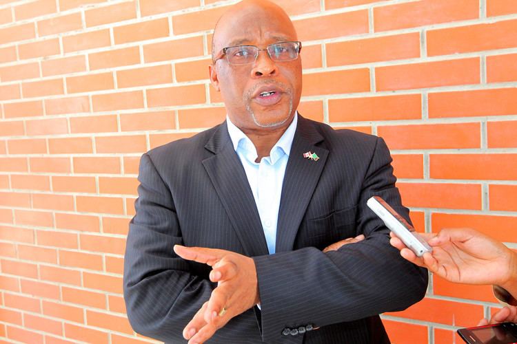 Nevers Mumba Faustina Sinyangwe Urges Nevers Mumba To Step Down As MMD