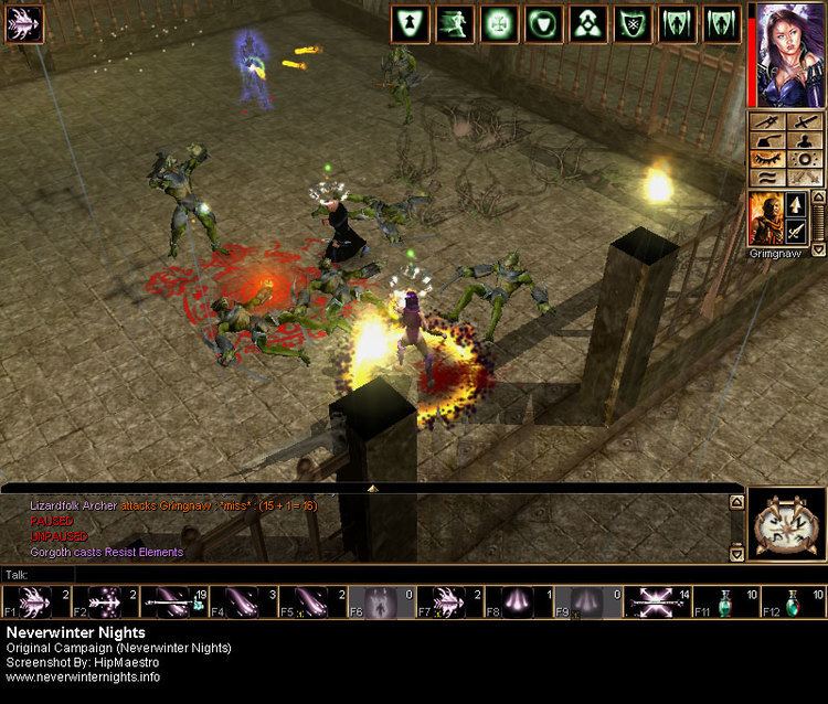 neverwinter nights best class for campaign