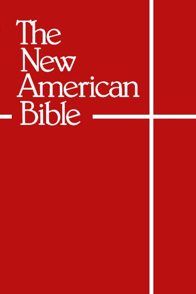 New American Bible httpsuploadwikimediaorgwikipediacommons77