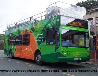 New Forest Tour The New Forest sightseeing bus for open topped views of this UK