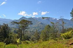 New Guinea Highlands httpsuploadwikimediaorgwikipediacommonsthu